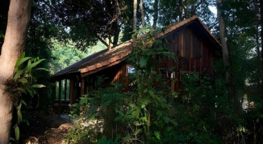 Forest Floor Lodge Cát Tiên Dış mekan fotoğraf