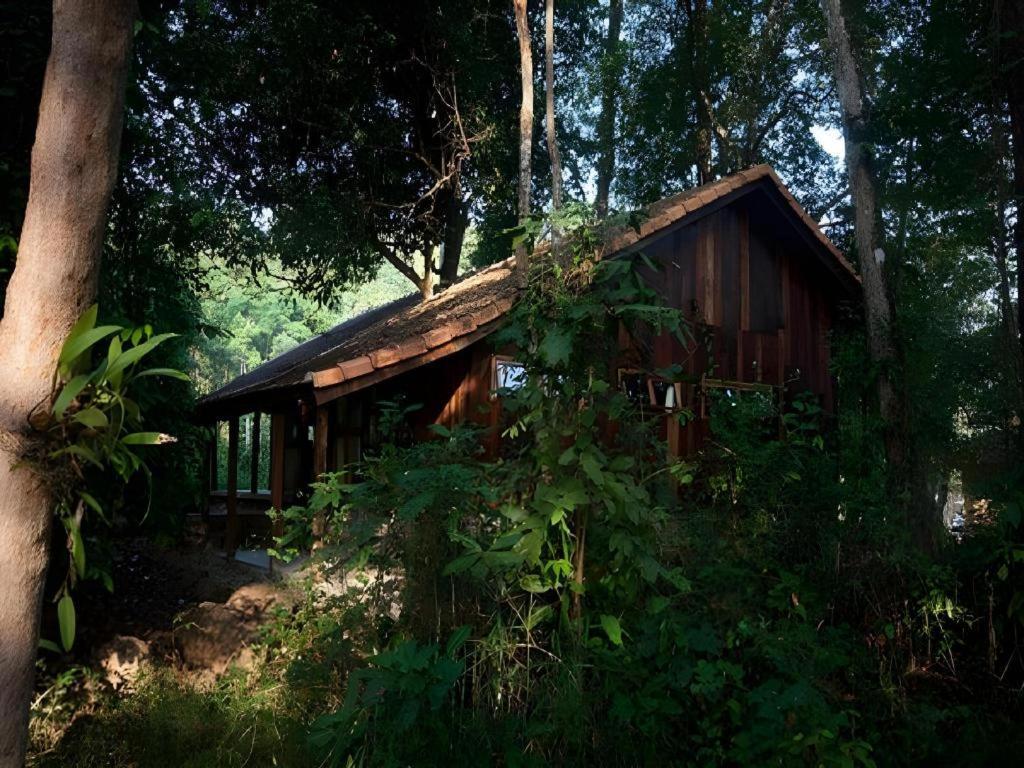 Forest Floor Lodge Cát Tiên Dış mekan fotoğraf