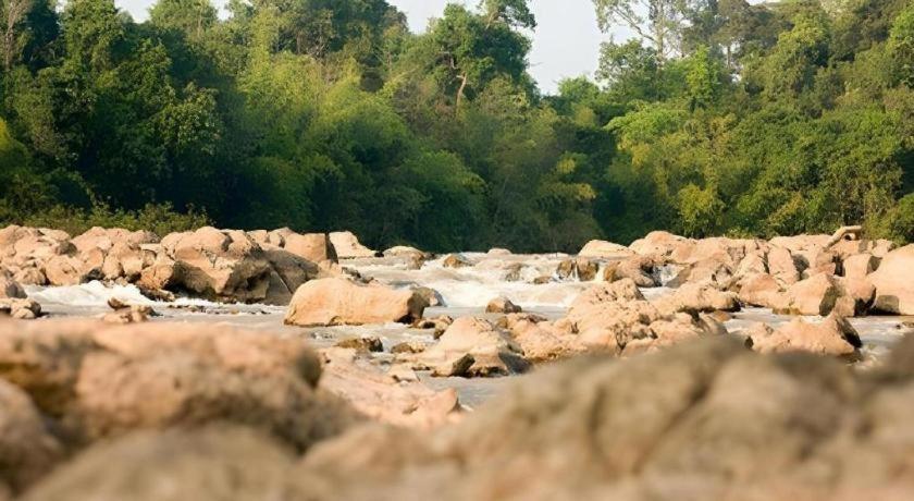 Forest Floor Lodge Cát Tiên Dış mekan fotoğraf