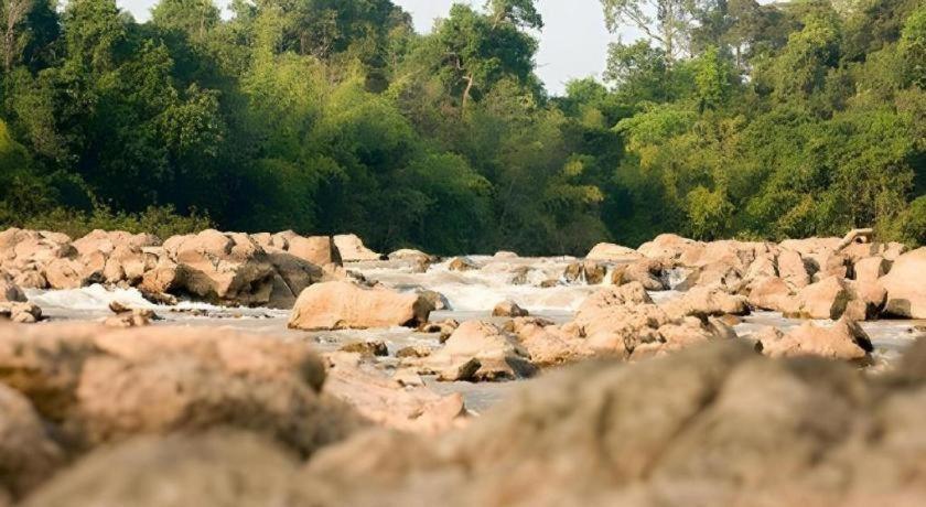 Forest Floor Lodge Cát Tiên Dış mekan fotoğraf