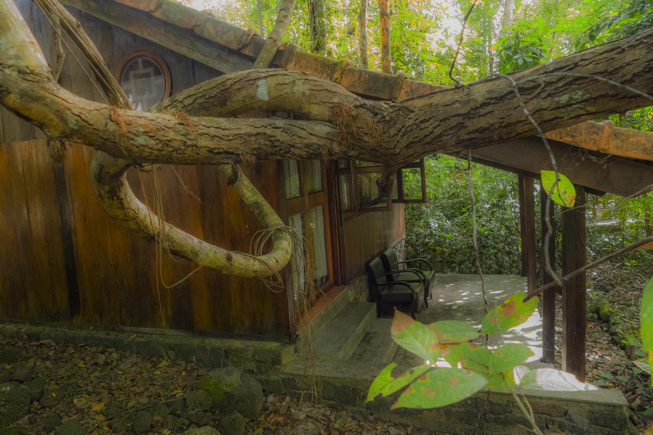 Forest Floor Lodge Cát Tiên Dış mekan fotoğraf
