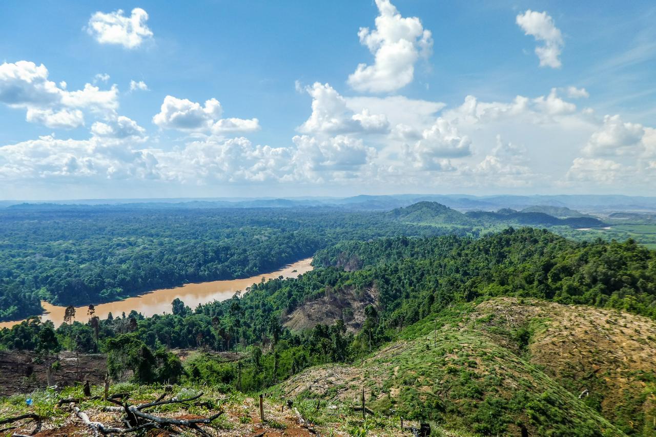 Forest Floor Lodge Cát Tiên Dış mekan fotoğraf